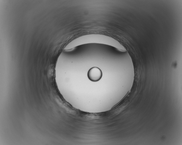 X0000114410284200911061609