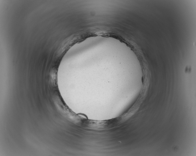 X0000114410288200911061609