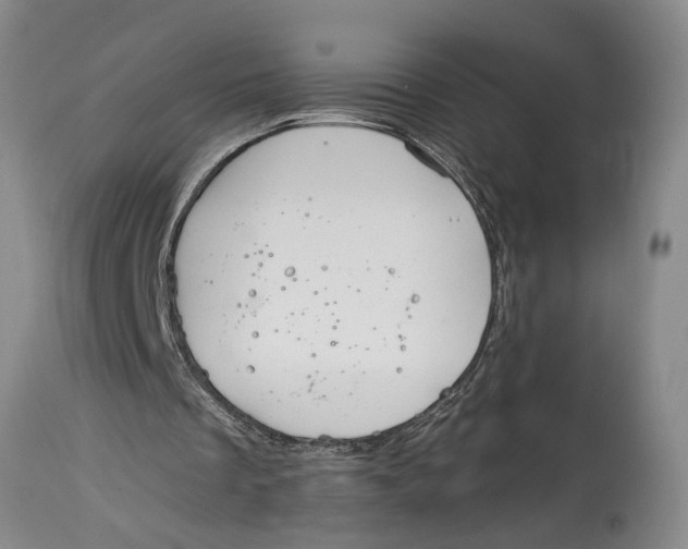 X0000114410289200911061608