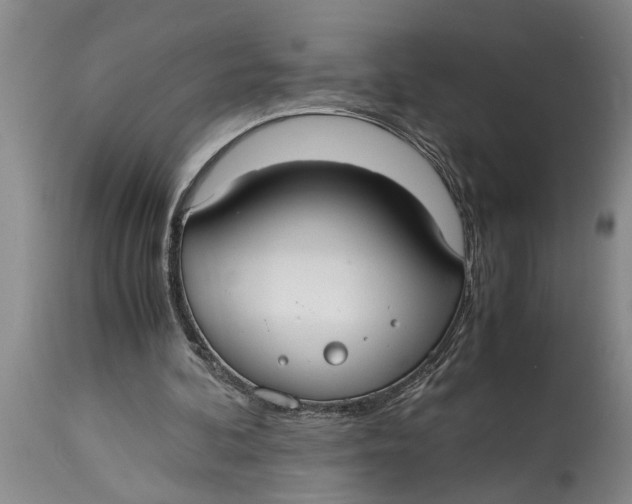 X0000114410292200911061608