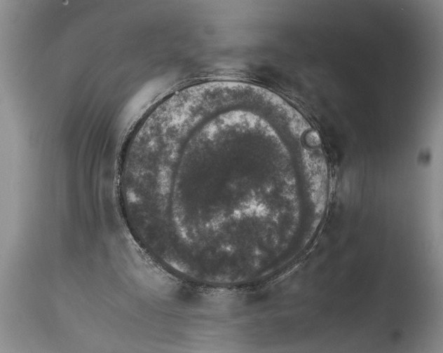 X0000114410293200911061608