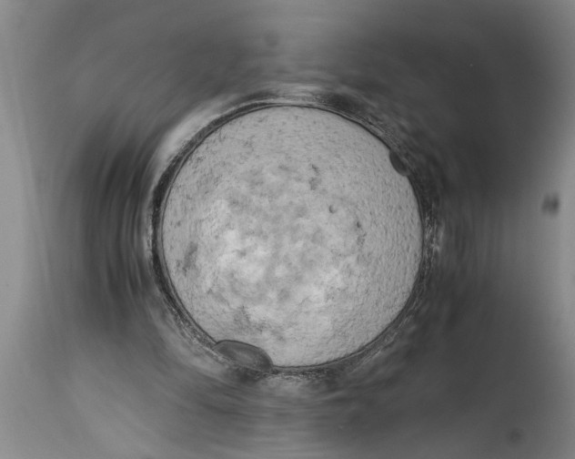 X0000114410294200911061608