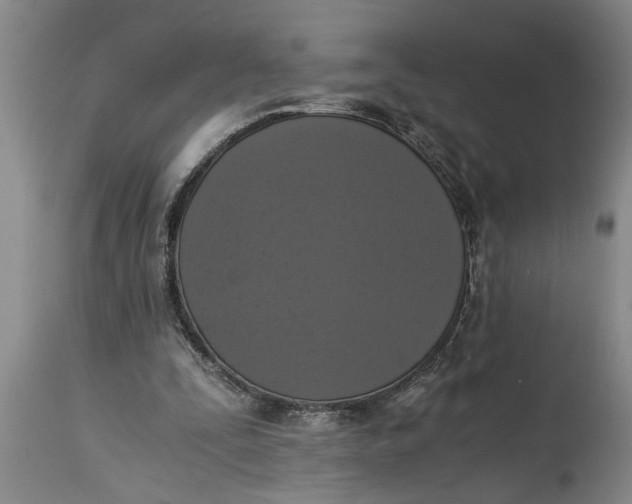 X0000114410295200911061608