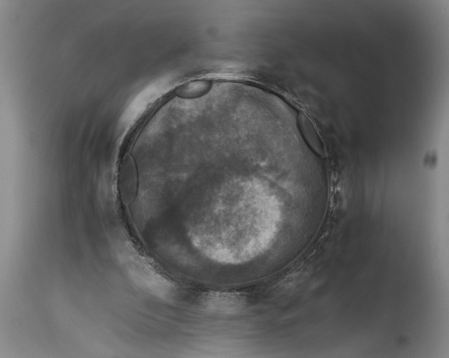 X0000114410296200911061608