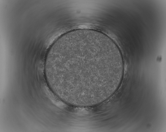 X0000114410297200911061608