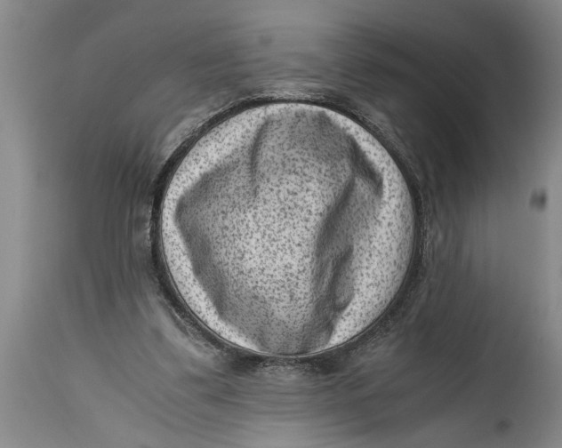 X0000114410299200911061608