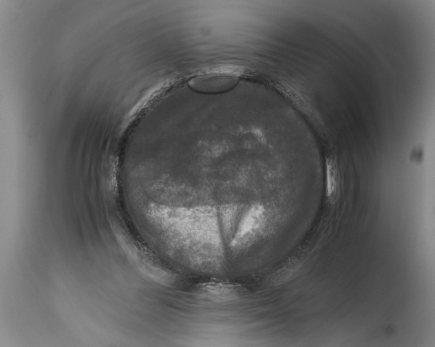 X0000114410300200911061608