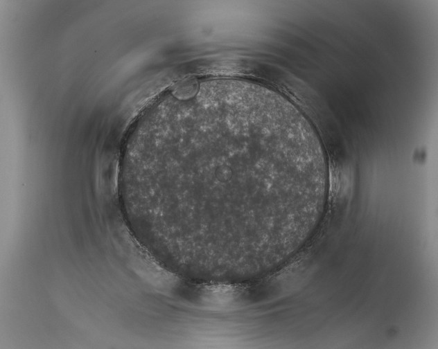 X0000114410301200911061608