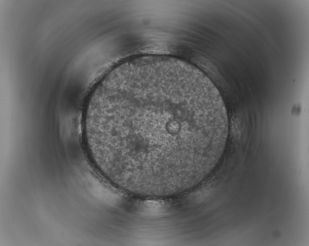 X0000114410302200911061608