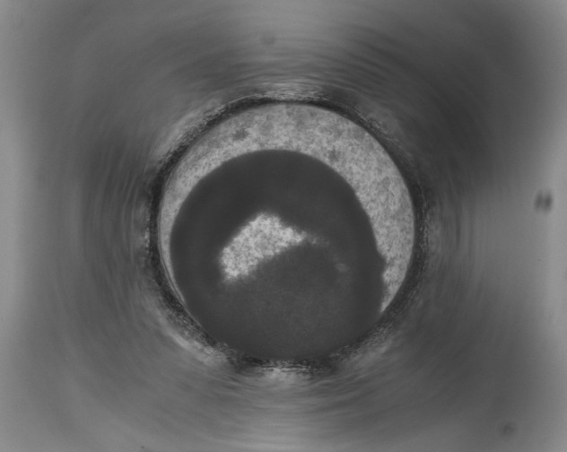 X0000114410303200911061608