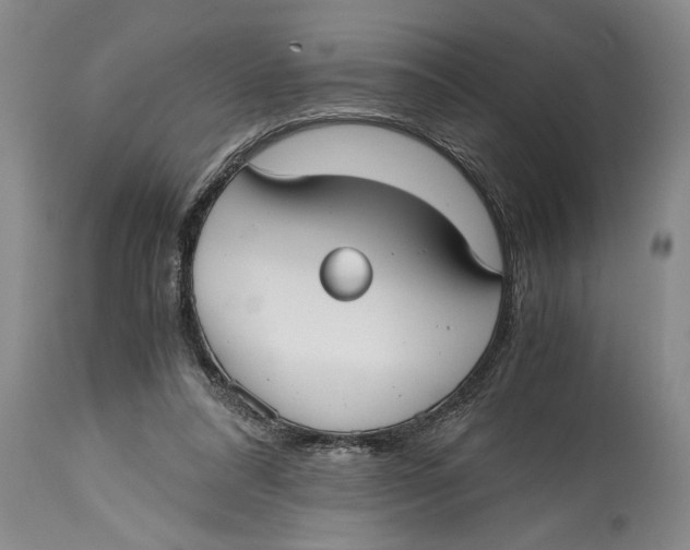 X0000114410304200911061608