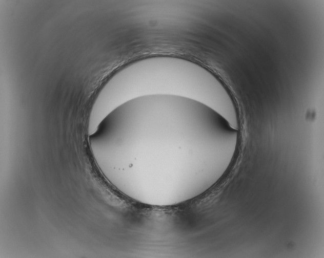 X0000114410305200911061608