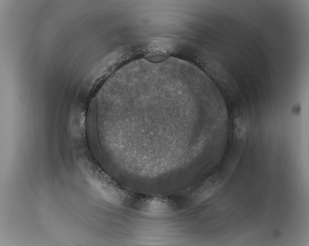 X0000114410308200911061608