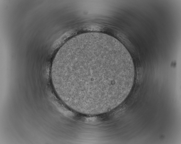 X0000114410309200911061608