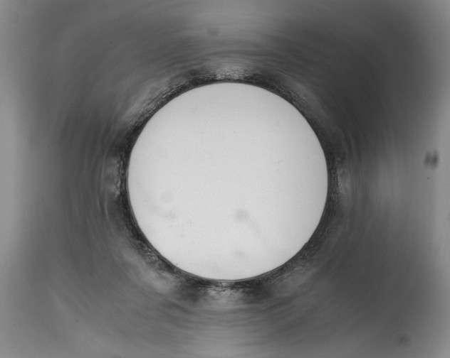 X0000114410311200911061608