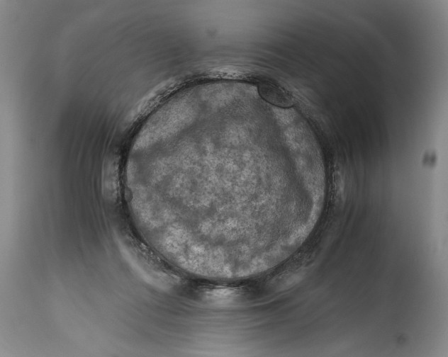 X0000114410312200911061608