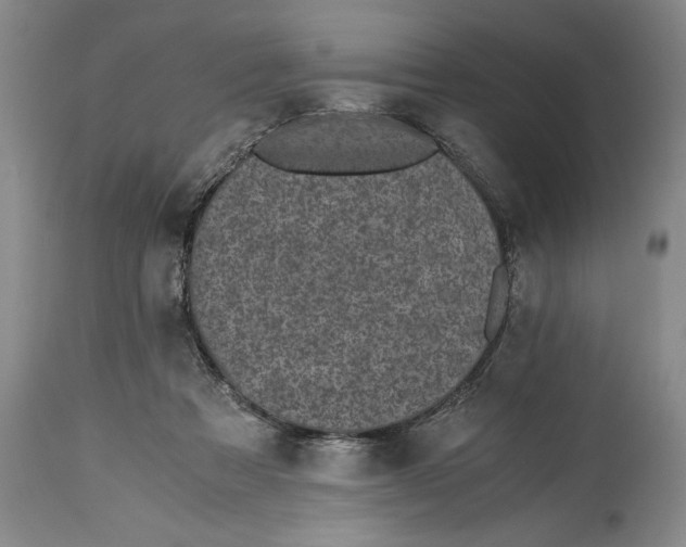 X0000114410313200911061607