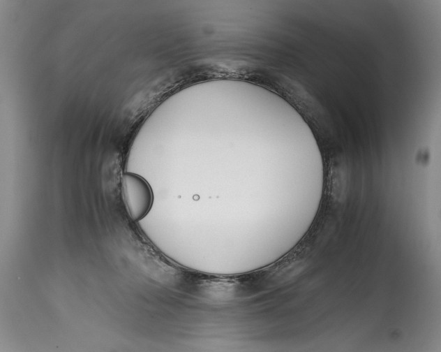 X0000114410318200911061607