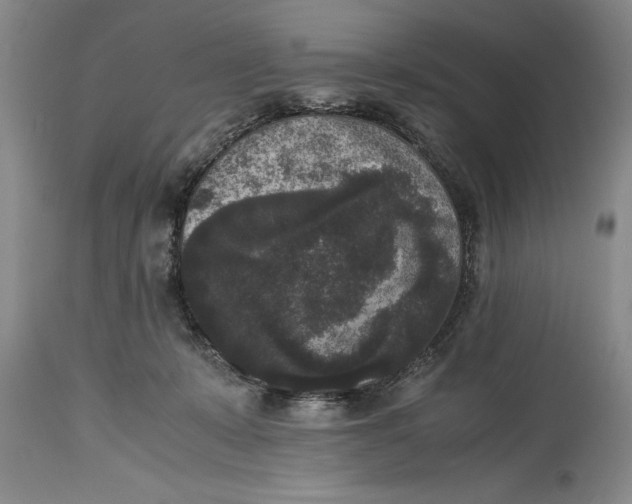 X0000114410319200911061607