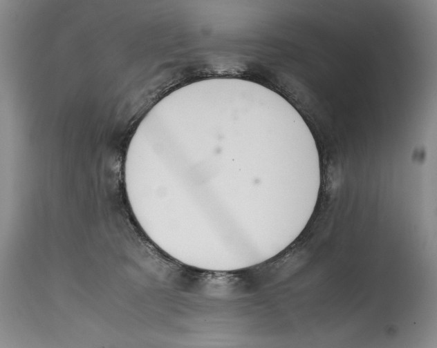 X0000114410321200911061607