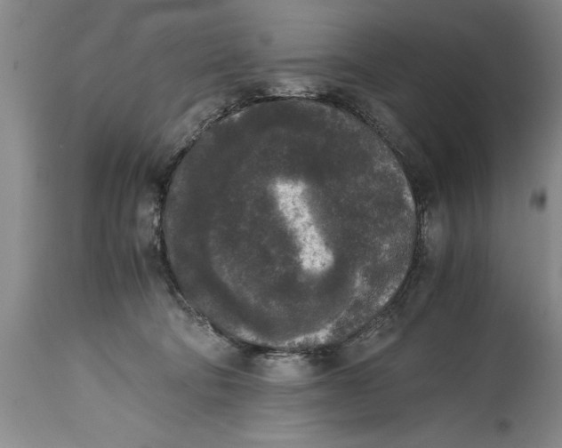 X0000114410322200911061607