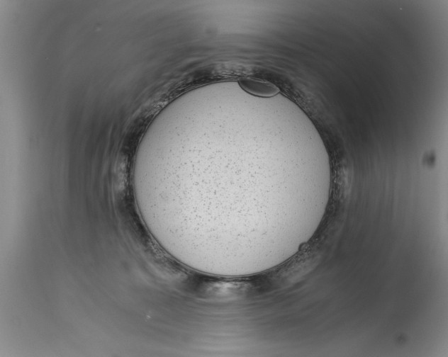 X0000114410323200911061607