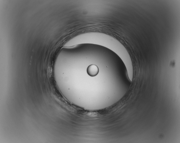 X0000114410324200911061607