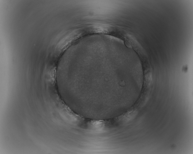 X0000114410325200911061607