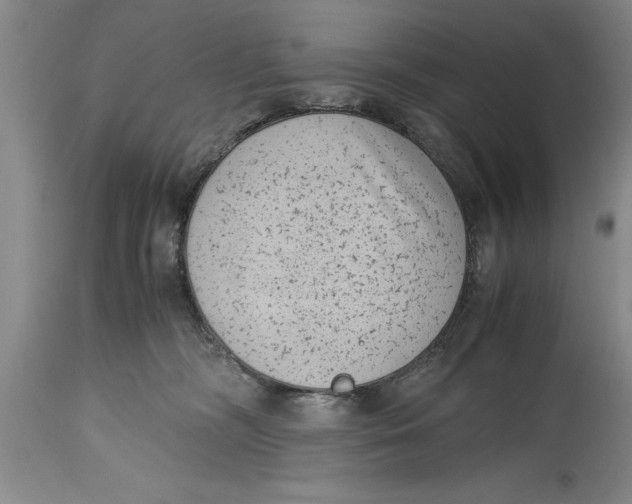 X0000114410326200911061607