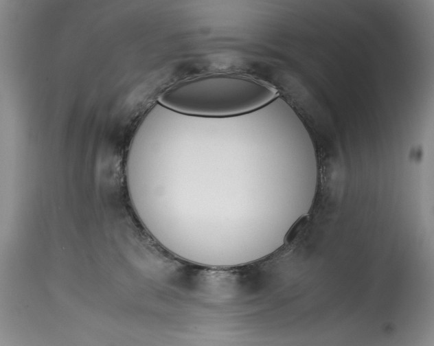 X0000114410327200911061607