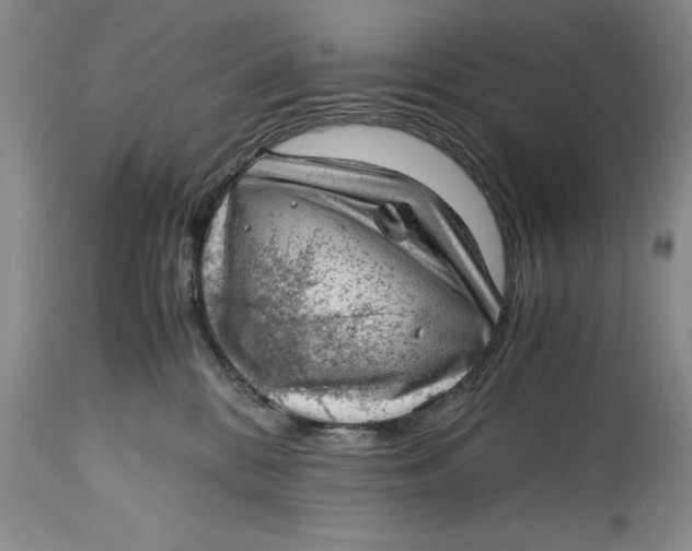 X0000114410328200911061607