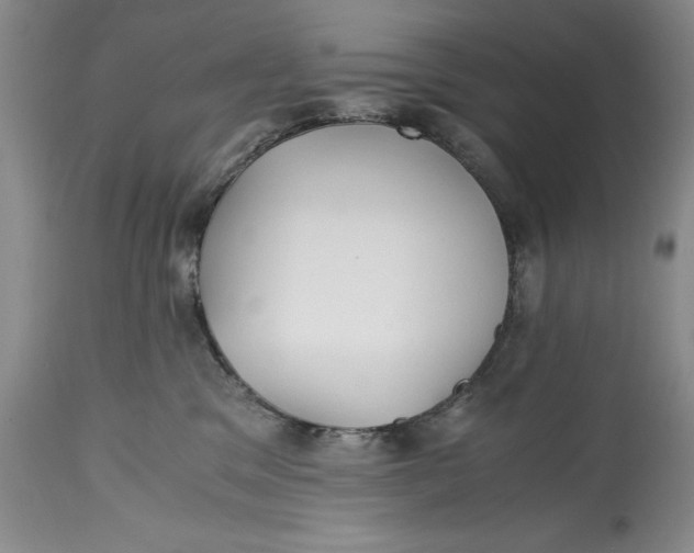 X0000114410329200911061607