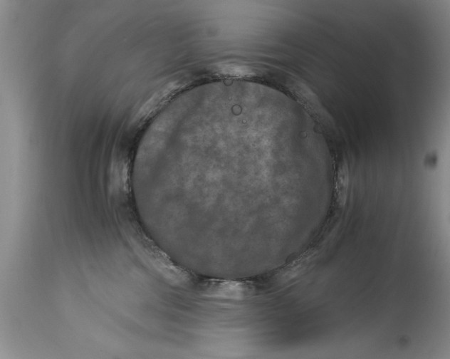 X0000114410330200911061607