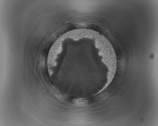 X0000114410331200911061607