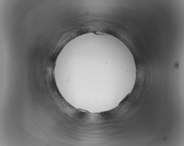 X0000114410333200911061607