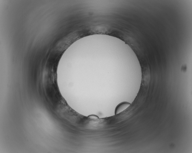 X0000114410334200911061607