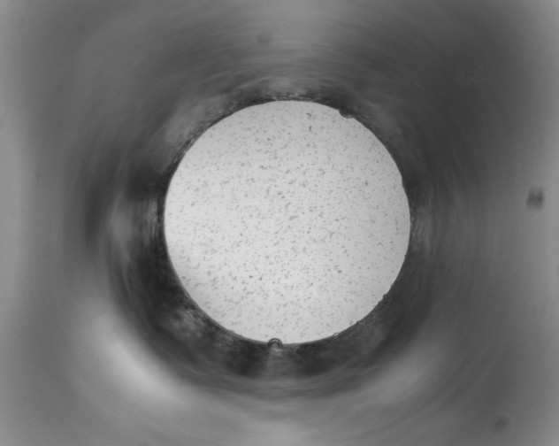 X0000114410335200911061607