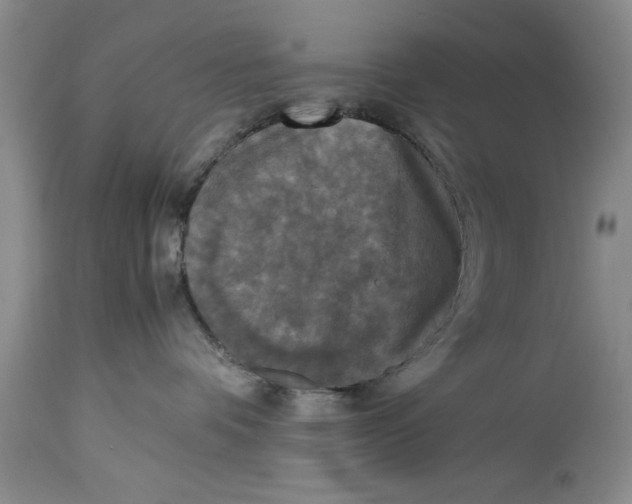 X0000114410336200911061607