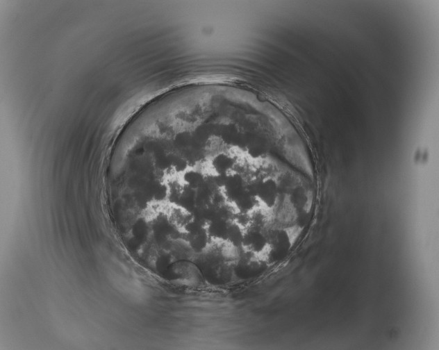 X0000114410337200911061606