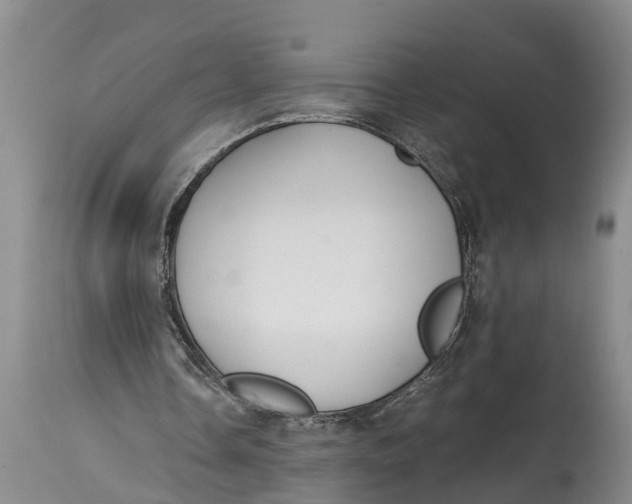 X0000114410338200911061606