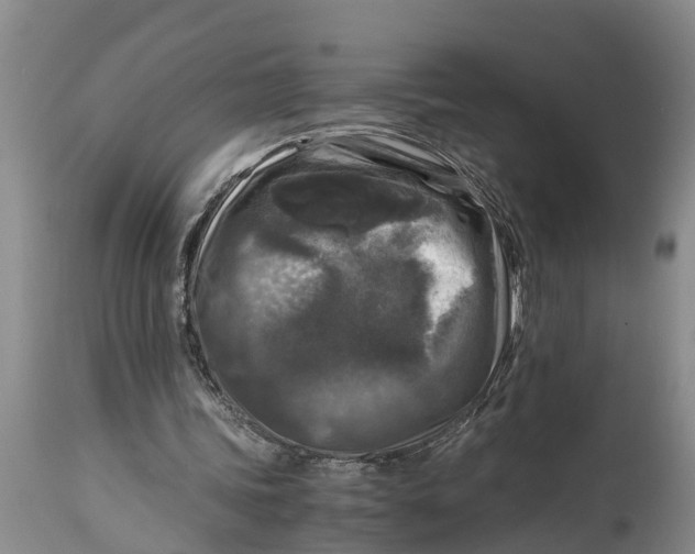 X0000114410339200911061606