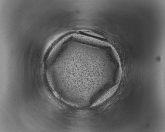 X0000114410342200911061606