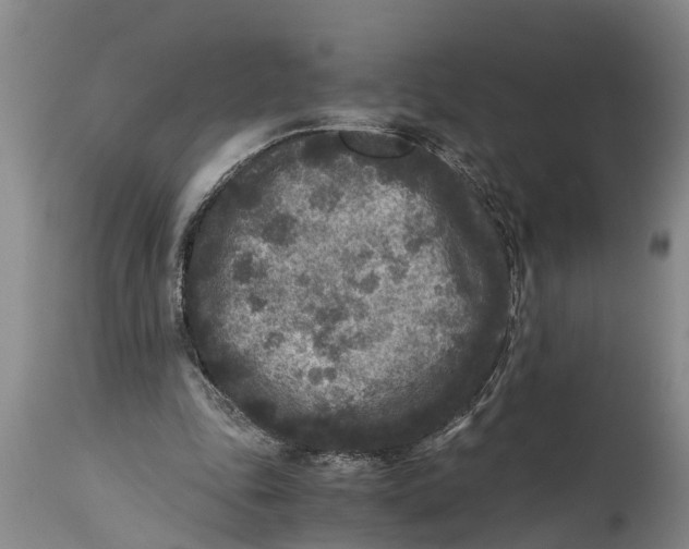 X0000114410343200911061606