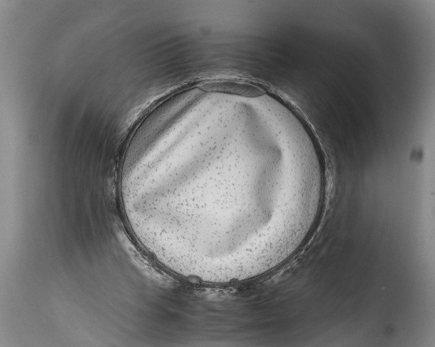 X0000114410345200911061606