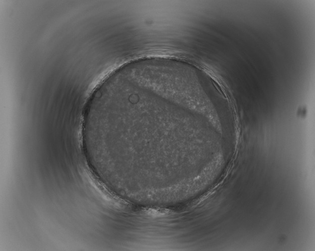 X0000114410346200911061606