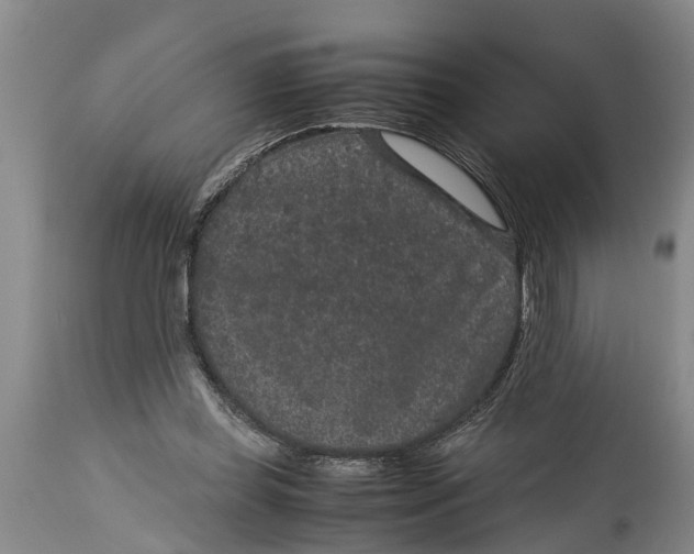 X0000114410349200911061606