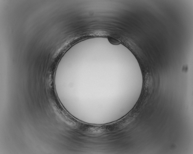 X0000114410351200911061606