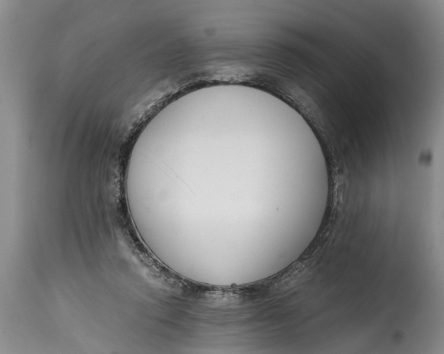 X0000114410354200911061606