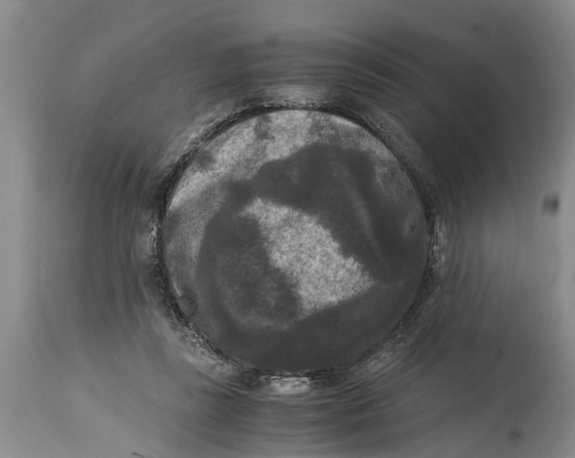 X0000114410355200911061606