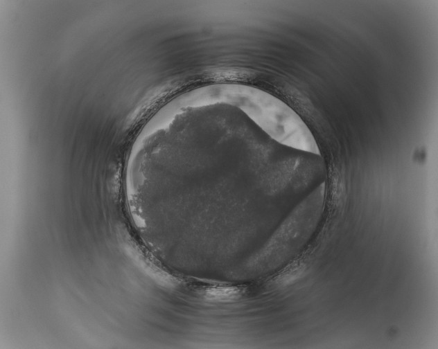 X0000114410357200911061607